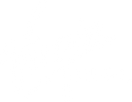 Virgin Music Store mobile logo